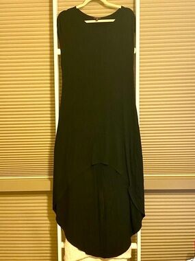Express high low black dress size large